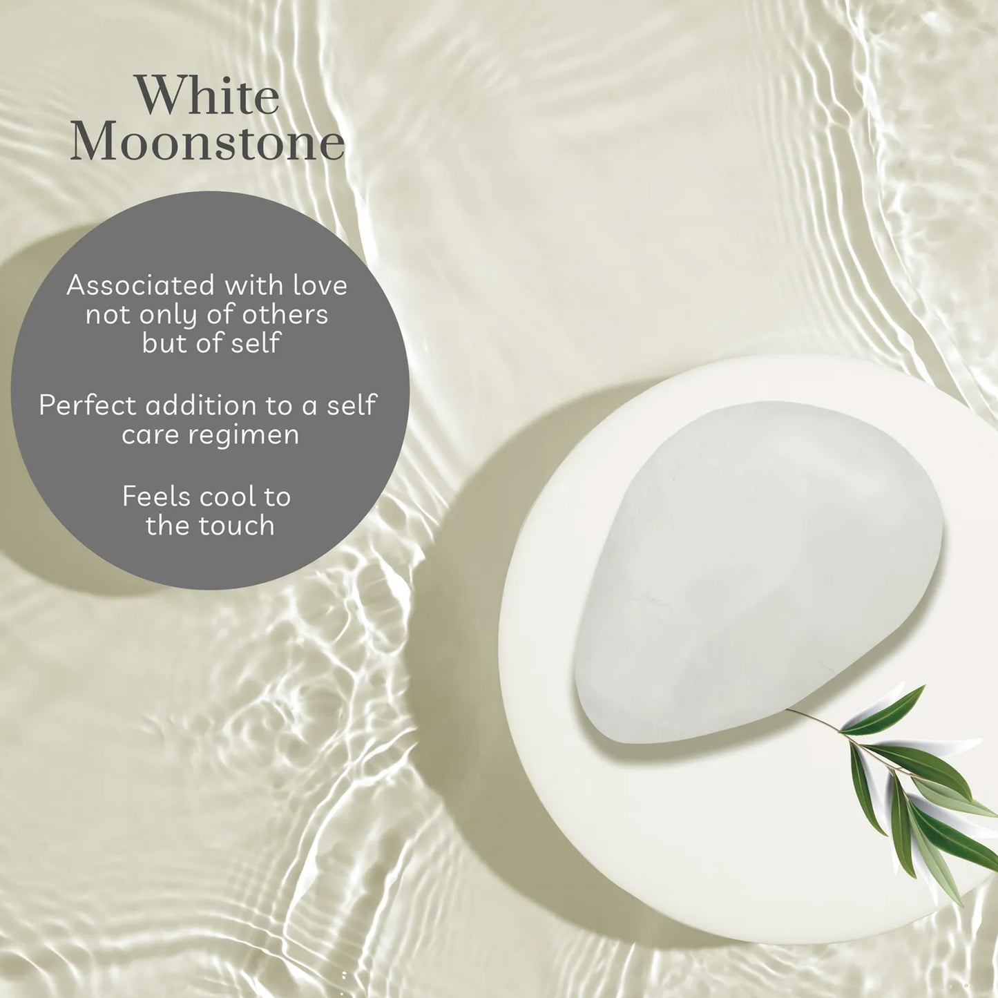 Purplle Queen Skin White Gua Sha