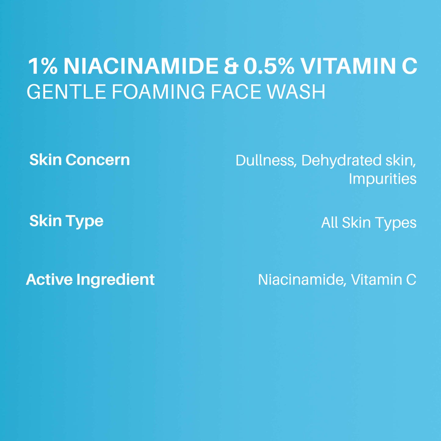 DERMDOC 1% Niacinamide & 0.5% Vitamin C Gentle Foaming Face Wash (80 ml)